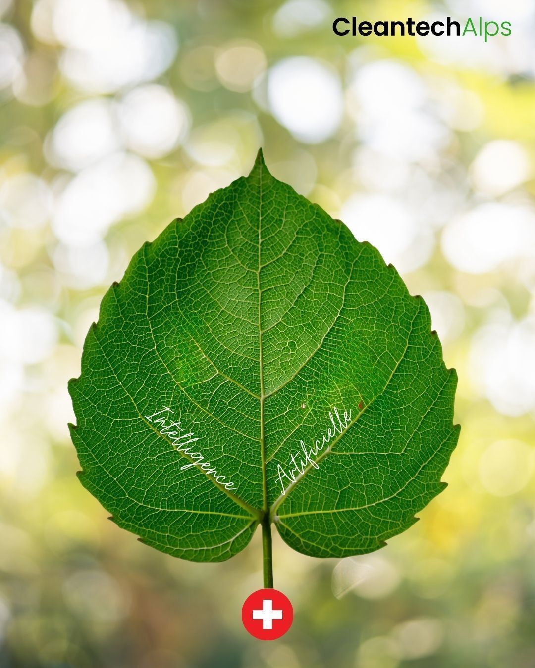 Cette année, CleantechAlps célèbre 15 ans d'activité au service de l'innovation durable ! 
Depuis sa création, l’écosystème suisse des startups cleantech s’est développé et compte aujourd’hui plus de 600 entreprises. Ces dernières ont levé collectivement plus de 3 milliards de francs suisses depuis 2010. Cette progression témoigne du développement constant d’un secteur qui joue un rôle important dans l’économie suisse.
Après avoir lancé KIWI, un outil d’auto-évaluation destiné aux startups souhaitant intégrer le développement durable à leur stratégie, CleantechAlps a également publié les résultats de son enquête 2025-2026 portant sur les pratiques en matière de développement durable. 
Lien sur le blog swisslicon-valley.ch dans la bio 👆 

#CleantechAlps

#cleantech #swisstech #swissstartup #innovation 

#standwithukraine 💙💛