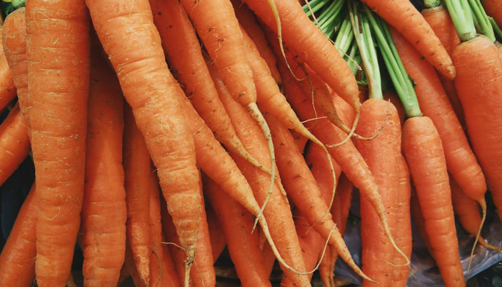 le surplus alimentaire incite a la création d'entreprise