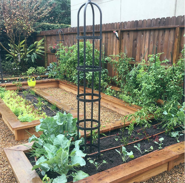 créez votre jardin en ville